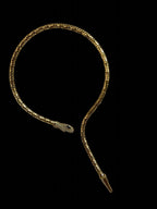 The Golden Fang Garud Wear
